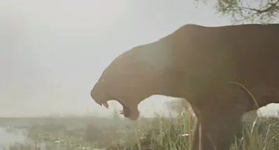 Eshe roaring at crocodile