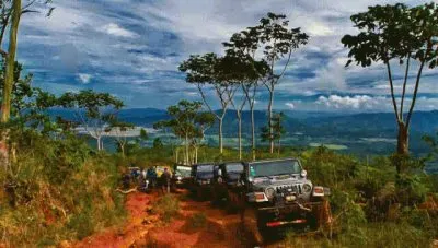 camino al campo jigsaw puzzle