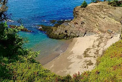 פאזל של colorful