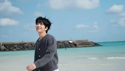 פאזל של Seventeen - Joshua