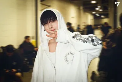 Seventeen - Joshua jigsaw puzzle