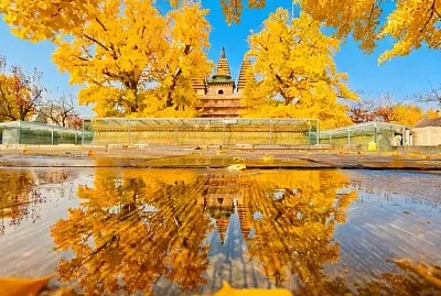 פאזל של imagem