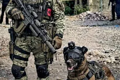 K-9