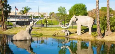 La Brea Tar Pits-Los Angeles