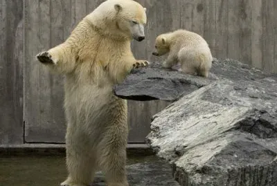 mom #64