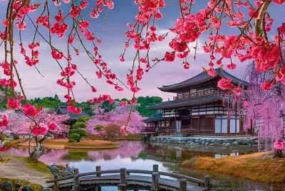 imagem jigsaw puzzle