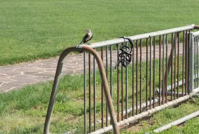 Posing For Me jigsaw puzzle