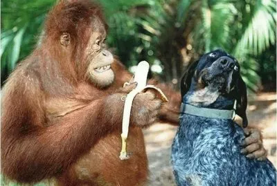 c 'mon! one bite won 't kill you!