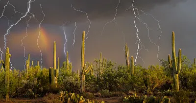 Tormenta en el desierto