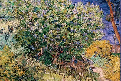 Van Gogh lilas