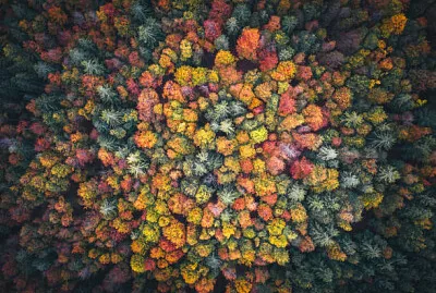 colorful jigsaw puzzle