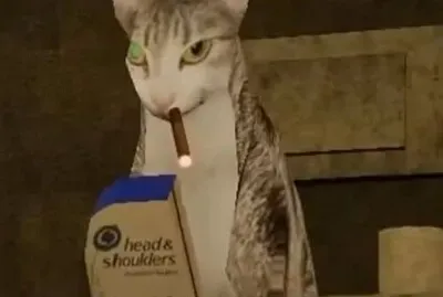 Gato cagando jigsaw puzzle