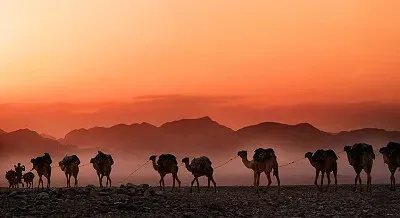 עם אפשר שהפזאל היה 12 חלקים