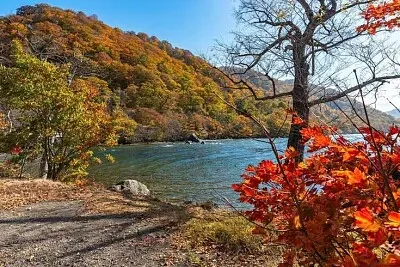 Finding beauty in the quiet moments