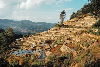 Rizières jigsaw puzzle