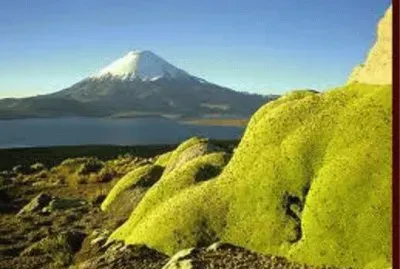 Lago Chungara