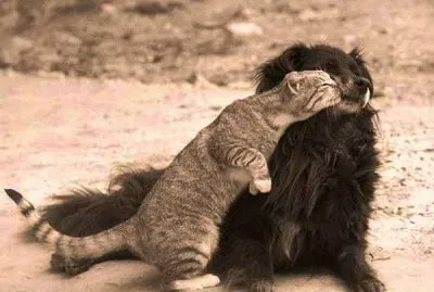 don 't be shy...give us a kiss