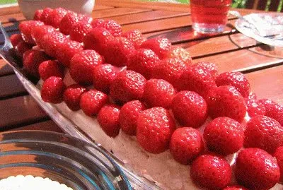 Memorial Day Strawberry Festival-Garden Grove