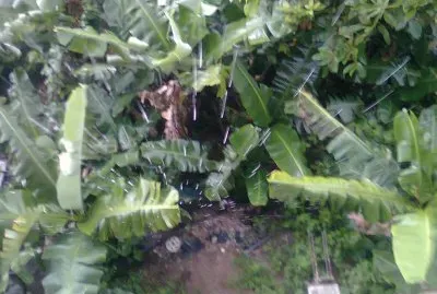 Lluvia desde el balcon
