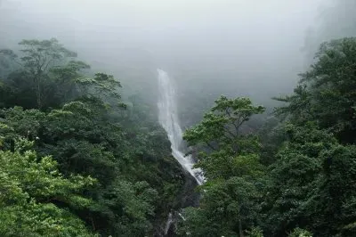 Chorro del indio, Parque Nacional Chorro del Indio jigsaw puzzle