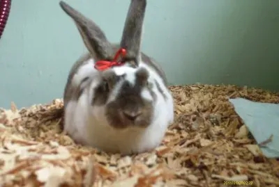 Tatis MontaÃ±o jigsaw puzzle