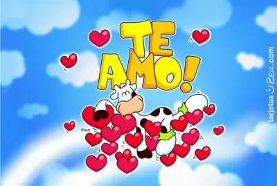 Te Amo!/Je T 'Aime!/I Love You!