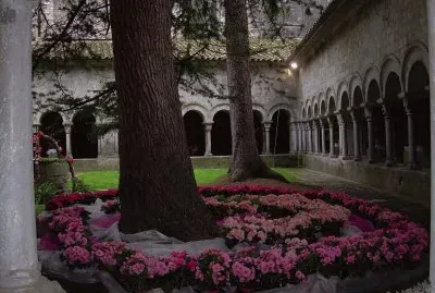 Temps de flors