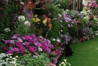Jardim
