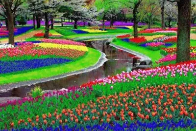 Jardim de Keukenhof, Amsterdam - Holanda