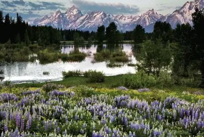 Grand Tetons - Wyoming