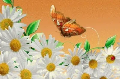 image jigsaw puzzle