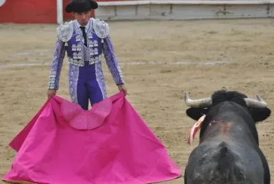 Matador and Bull