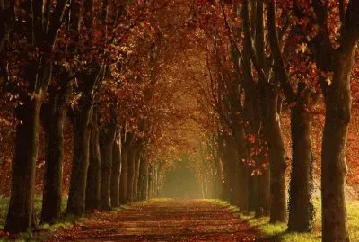 paisaje jigsaw puzzle