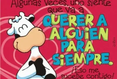 Te Amo!/Je T 'Aime!/I Love You!