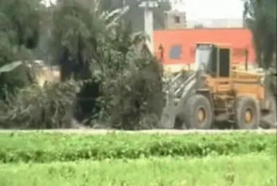 DESENCUENTRO ENTRE EL ARTE NATURAL Y EL ARTE HUMANO