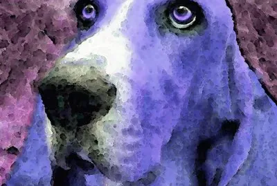 Basset Hound-Purple Art