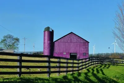Purple Barn