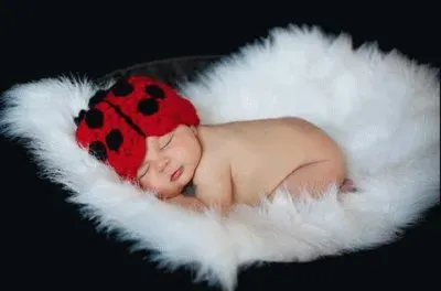 ladybug jigsaw puzzle