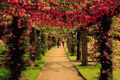 PAISAJES