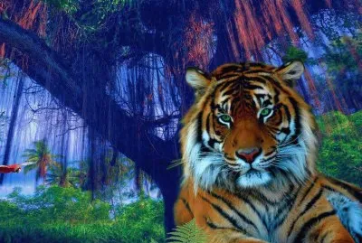 tigre jigsaw puzzle