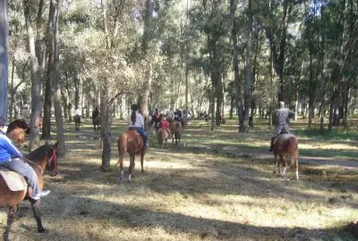 cabalgata por el bosque