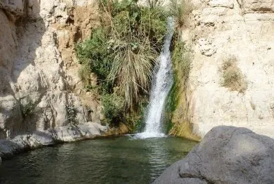 פאזל של en Gedi