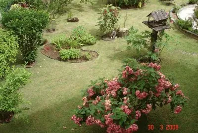 Beautiful Garden
