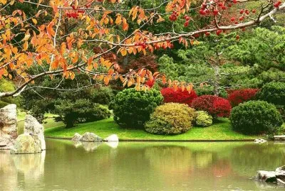 paisagem