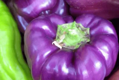 פאזל של Purple Peppers