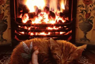 Gatinho jigsaw puzzle