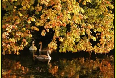 Paisagem jigsaw puzzle