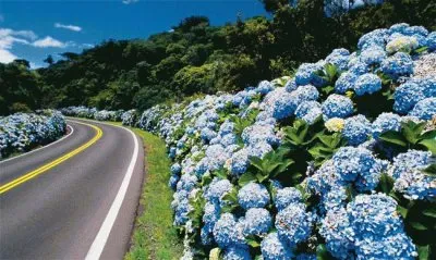 PAISAJE jigsaw puzzle