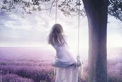 Lavender Field-Art