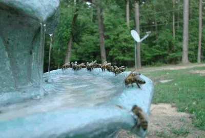 Thirsty jigsaw puzzle